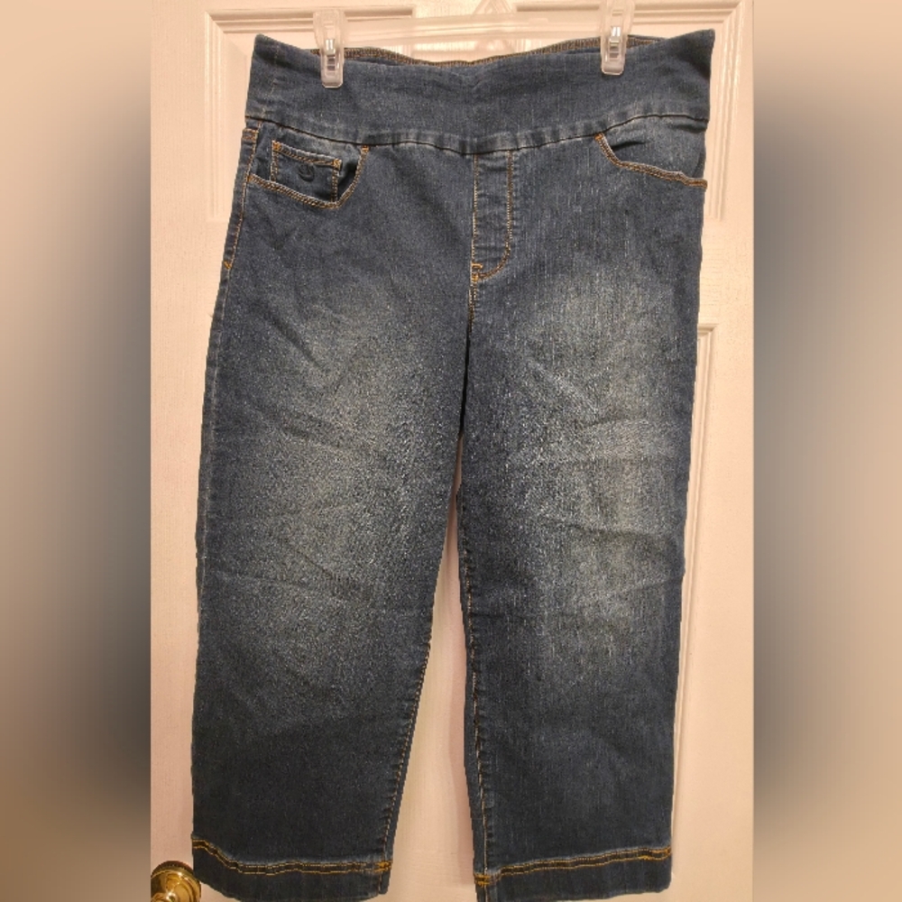 Gloria Vanderbilt Blue Cropped Jeans